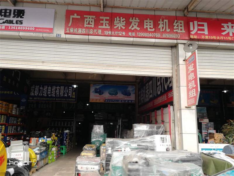 四川發(fā)電機(jī)組